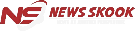 News Skook Dark Logo